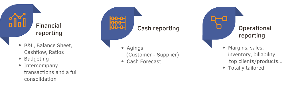 LucaNet alternative - The reporting modules of BrightAnalytics: financial reporting, cash reporting, and operational reporting